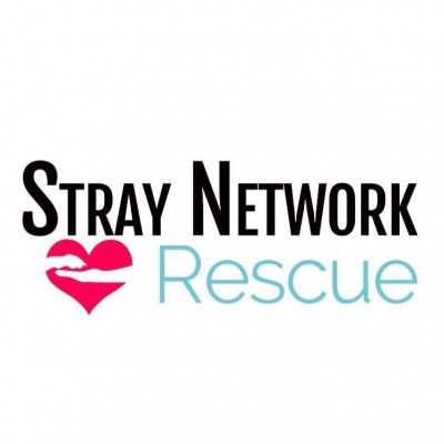 Stray Network Animal Rescue  - Pet Shelter and Rescue in Hatfield, Pennsylvania