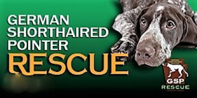 German Shorthaired Pointer Rescue PA, Inc. - Pet Shelter and Rescue in Pittsburgh, Pennsylvania