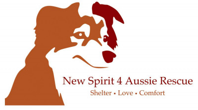 New Spirit 4 Aussie Rescue - Pet Shelter and Rescue in Collegeville, Pennsylvania