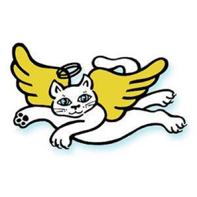 Cat Angel Network - Pet Shelter and Rescue in Stowe, Pennsylvania