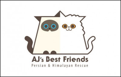 AJs Best Friends Persian & Himalayan Rescue - Pet Shelter and Rescue in Gilbert, Arizona