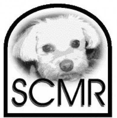 Southern Comfort Maltese Rescue - Pet Shelter and Rescue in Chattanooga, Tennessee
