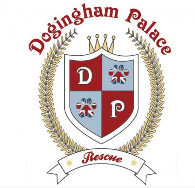 Dogingham Palace Rescue - Pet Shelter and Rescue