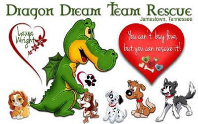 Dragon Dream Team Rescue - Pet Shelter and Rescue in Jamestown, Tennessee