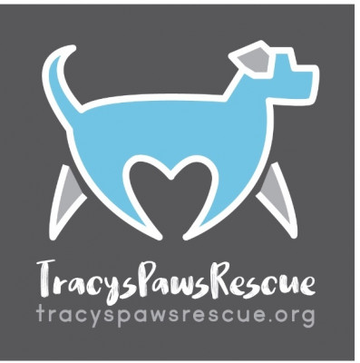 TracysPawsRescue - Pet Shelter and Rescue in Hondo, Texas