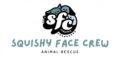 SFC Virginia - Pet Shelter and Rescue in Fredericksburg, Virginia