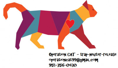 Big Oak Farm So Cal - Pet Shelter and Rescue in Riverside, California