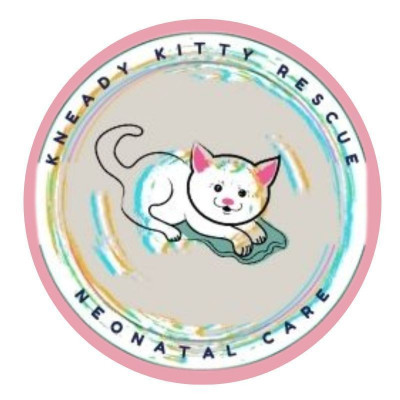 Kneady Kitty Rescue - Pet Shelter and Rescue in Largo, Florida