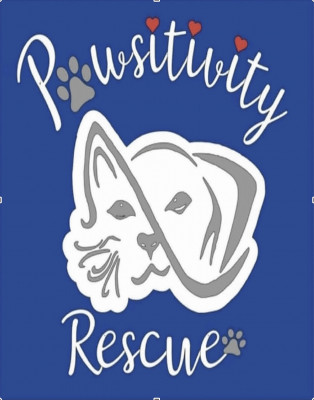 Pawsitivity Rescue Inc - Pet Shelter and Rescue in Mountain Home, Idaho