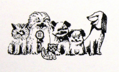 Buddy Dog Humane Society - Pet Shelter and Rescue in Sudbury, Massachusetts