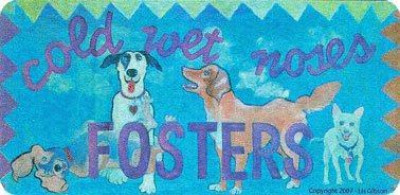 Cold Wet Noses Fosters - Pet Shelter and Rescue in Tucson, Arizona
