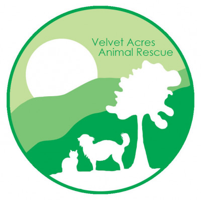 Velvet Acres Animal Rescue - Pet Shelter and Rescue in Zebulon, North Carolina