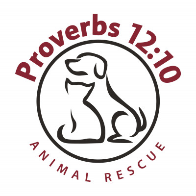 Proverbs 12:10 Animal Rescue - Pet Shelter and Rescue in Nashville, Tennessee