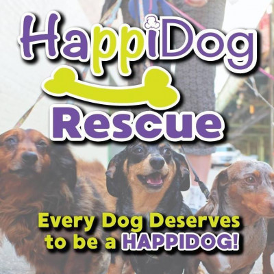 HappiDog Animal Rescue - Pet Shelter and Rescue in Lakeland, Tennessee