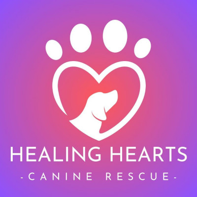 Pulaski Animal Care And Control - Pet Shelter and Rescue in Draper, Virginia