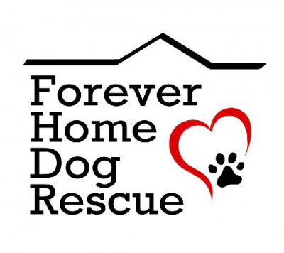 Forever Home Dog Rescue - Pet Shelter and Rescue in Lynnwood, Washington