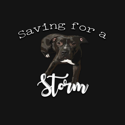 Saving For A Storm - Pet Shelter and Rescue in Pullman, Washington