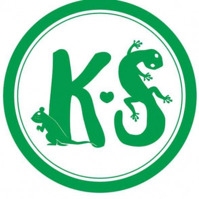 Kuddles And Scales Rescue - Pet Shelter and Rescue in Bonney Lake, Washington