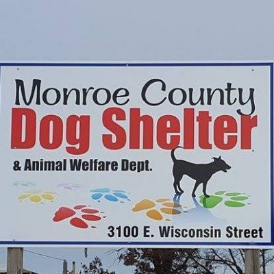 Monroe County Animal Shelter - Pet Shelter and Rescue in Sparta, Wisconsin