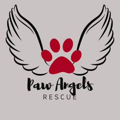 Paw Angel