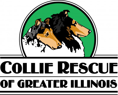 Collie Rescue Of Greater IL Inc. - Pet Shelter and Rescue in Lisle, Illinois