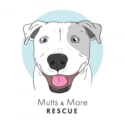 Mutts And More Inc - Pet Shelter and Rescue in Clearwater, Florida