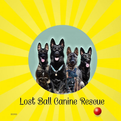Lost Ball Canine Rescue - Pet Shelter and Rescue in Tallulah, Louisiana