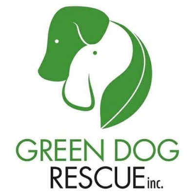 Green Dog Rescue Inc. - Pet Shelter and Rescue in Briny Breezes, Florida