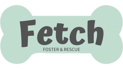 Fetch Foster And Rescue Inc - Pet Shelter and Rescue in Wausau, Wisconsin