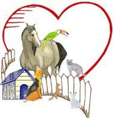 For The Luv Of Paws II Inc. - Pet Shelter and Rescue in Golden Valley, Arizona