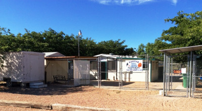 Tombstone Small Animal Shelter - Pet Shelter and Rescue in Tombstone, Arizona