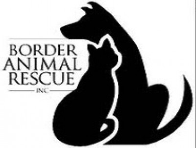 Border Animal Rescue - Pet Shelter and Rescue in Sierra Vista, Arizona