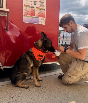 Tri County Rescue Inc. - Pet Shelter and Rescue in Mauk, Georgia