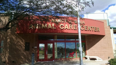 Sierra Vista Animal Control - Pet Shelter and Rescue in Sierra Vista, Arizona