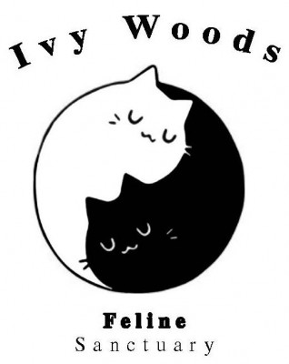 Ivy Woods Feline Sanctuary - Pet Shelter and Rescue in Westminster, Maryland
