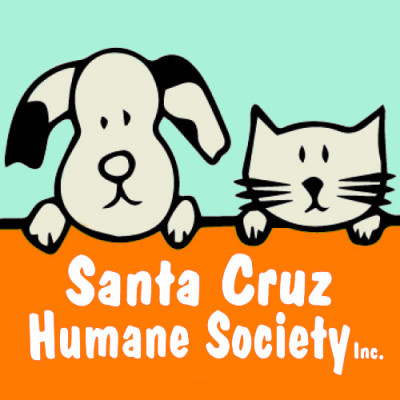Santa Cruz Humane Society - Pet Shelter and Rescue in Nogales, Arizona
