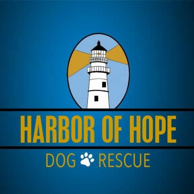 Harbor Of Hope Dog Rescue - Pet Shelter and Rescue in Bellevue, Nebraska
