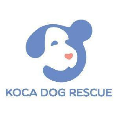 KOCA Dog Rescue - Pet Shelter and Rescue in Markham, Ontario