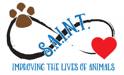 S.A.I.N.T. (Saving Animals In Need Together) - Pet Shelter and Rescue in Bullhead City, Arizona
