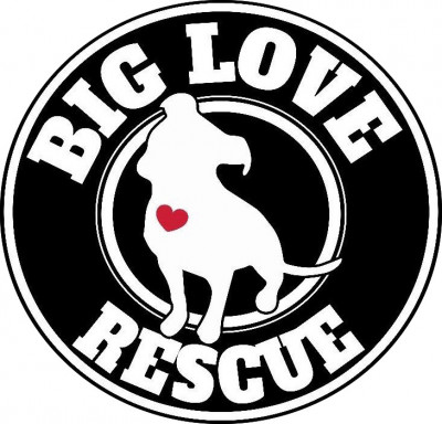 Big Love Rescue - Pet Shelter and Rescue