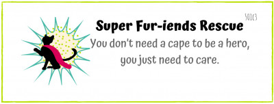 Super Fur-iends - Pet Shelter and Rescue in Suisun City, California
