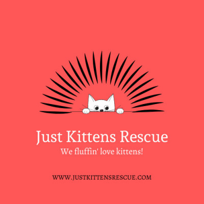Just Kittens Rescue - Pet Shelter and Rescue in New Richmond, Wisconsin