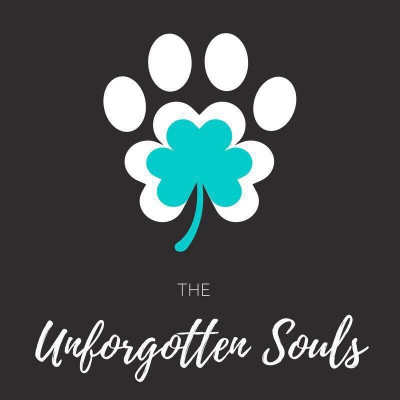 The Unforgotten Souls - Pet Shelter and Rescue in Shallotte, North Carolina