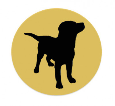 Albany Pet Hotel - Pet Shelter and Rescue in Albany, Oregon