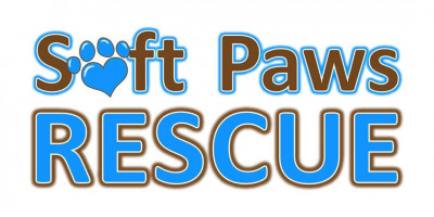 Soft Paws Rescue And Rehabilitation- Oregon Branch - Pet Shelter and Rescue in Bend, Oregon