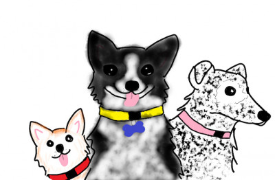 Almost Home Herding Dog Rescue - Pet Shelter and Rescue in Gum Spring, Virginia