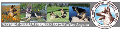 Westside German Shepherd Rescue Of LA - Pet Shelter and Rescue in Los Angeles, California