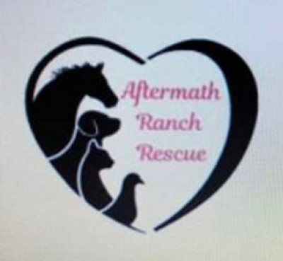 Aftermath Ranch Rescue - Pet Shelter and Rescue in Indiantown, Florida