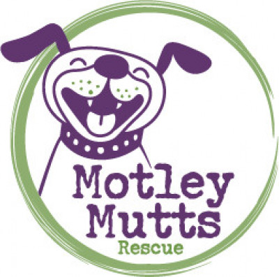 Motley Mutts Rescue - Pet Shelter and Rescue in Manchester, New Hampshire