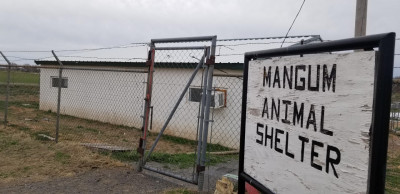 Mangum Animal Shelter - Pet Shelter and Rescue in Mangum, Oklahoma